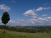 Höhenweg in der Pfalz (Foto: Wolfgang Keber)