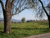 Pilgerweg am Bodensee (Foto: Wolfgang Keber)