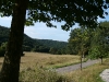 Wegstrecke in der Pfalz (Foto: Wolfgang Keber)