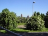 Blick zurück auf Mainzer Dom (Foto: Albert Dreis)